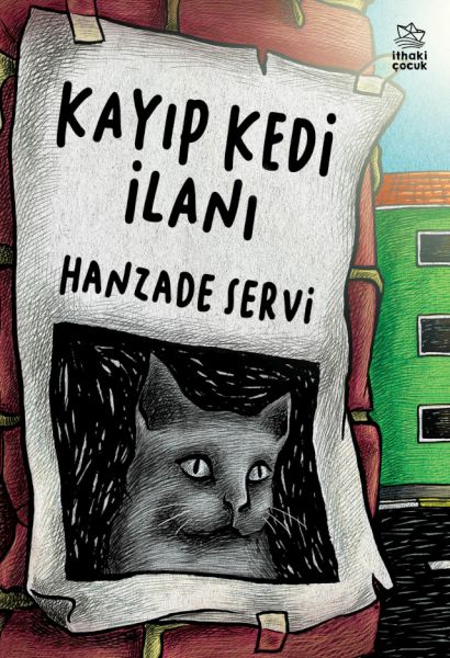 Kayıp Kedi İlanı-zoom-