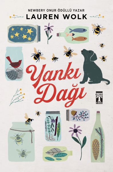 Yankı Dağı-zoom-