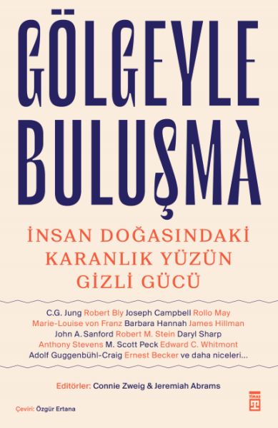 Gölgeyle Buluşma & İnsan Doğasındaki Karanlık Yüzün Gizli Gücü-zoom-