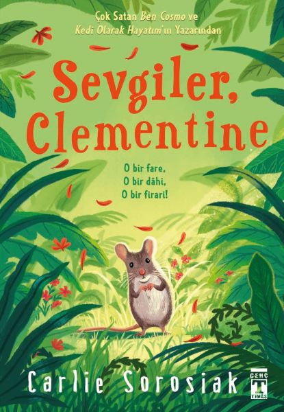 Sevgiler Clementine-zoom-