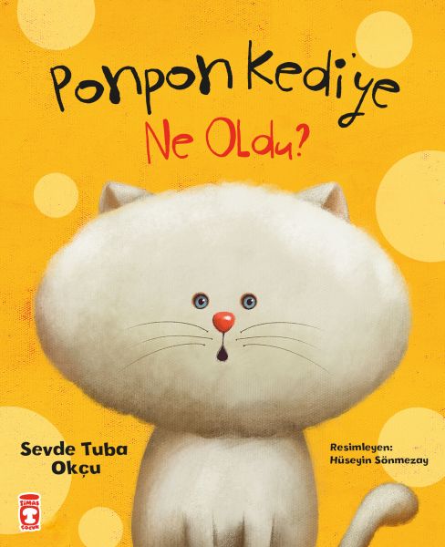 Ponpon Kediye Ne Oldu-zoom-