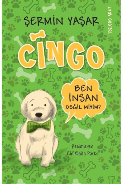 Cingo-zoom-