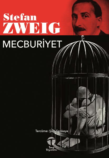 Mecburiyet-zoom-