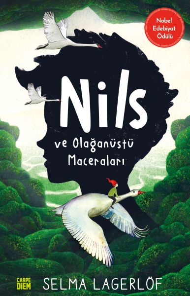 Nils ve Olağanüstü Maceraları-zoom-