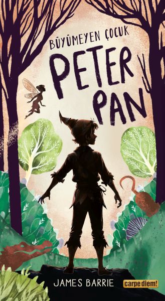 Büyümeyen Çocuk Peter Pan-zoom-