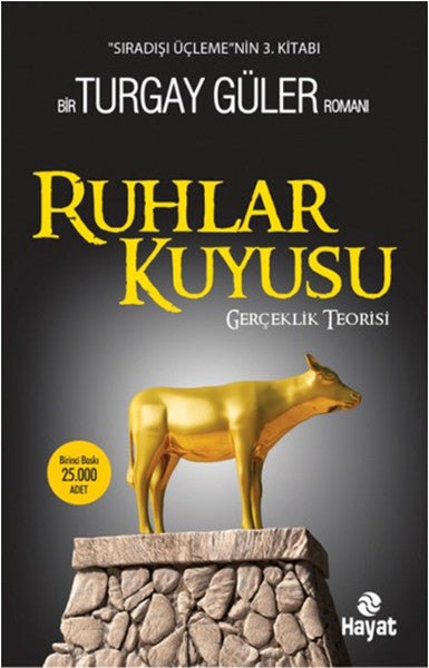 Ruhlar Kuyusu - Gerçeklik Teorisi-zoom-