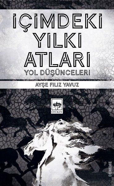 İçimdeki Yılkı Atları - Yol Düşünceleri-zoom-