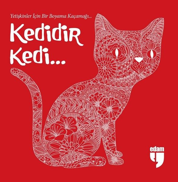 Kedidir Kedi...-zoom-
