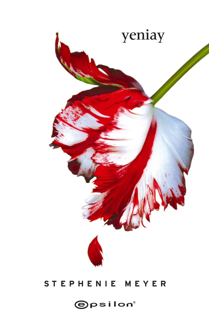 Yeniay (Ciltli)-zoom-