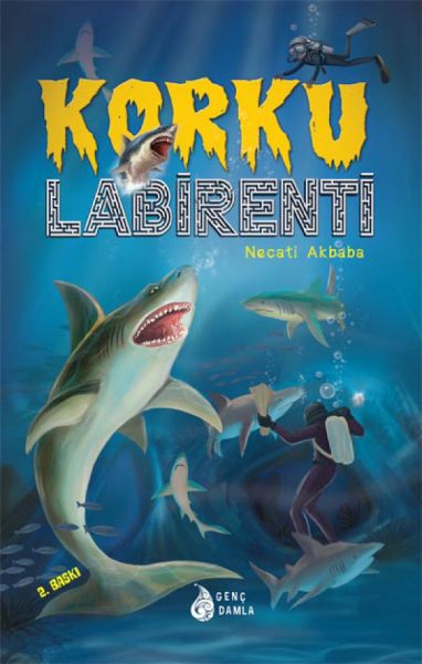 Korku Labirenti-zoom-