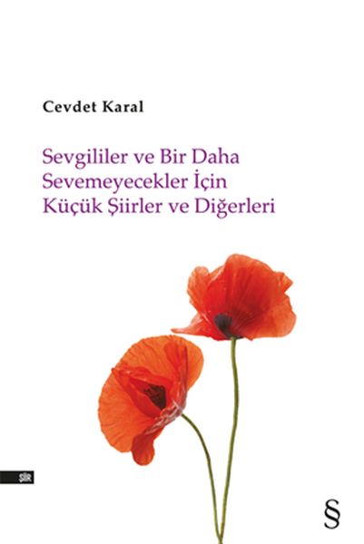 Sevgililer ve Bir Daha Sevemeyecekler İçin Küçük Şiirler ve Diğerleri-zoom-