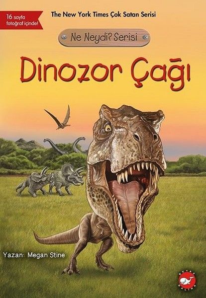 Ne Neydi? Serisi - Dinozor Çağı-zoom-