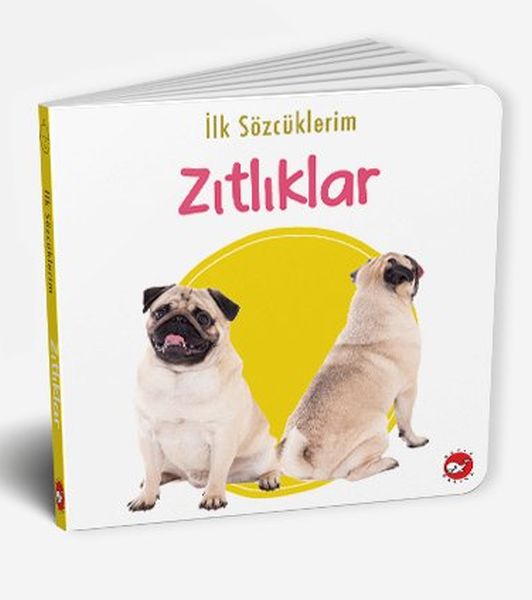İlk Sözcüklerim - Zıtlıklar-zoom-