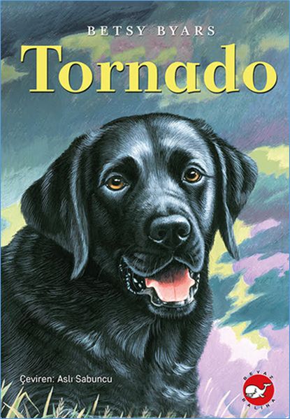 Tornado-zoom-