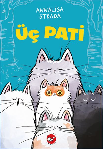Üç Pati-zoom-