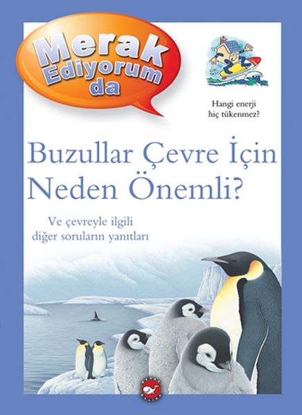 Merak Ediyorum Da - Buzullar Çevre İçin Neden Önemli?-zoom-