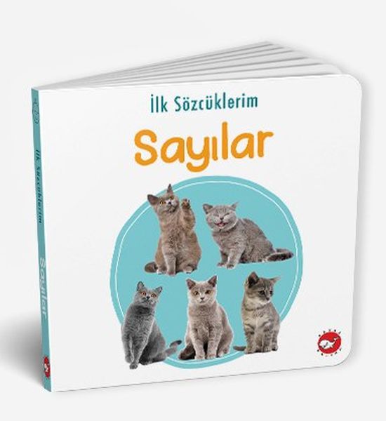 İlk Sözcüklerim - Sayılar-zoom-