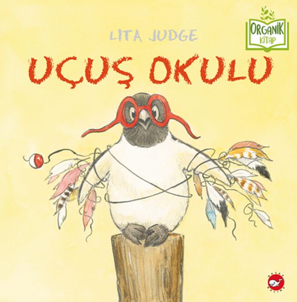 Uçuş Okulu - Organik Kitaplar-zoom-
