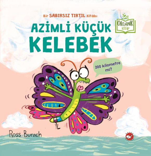 Azimli Küçük Kelebek-zoom-