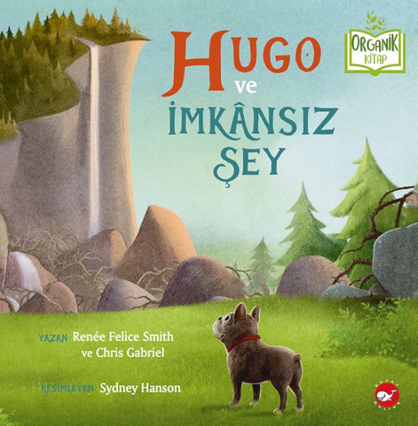 Hugo ve İmkânsız Şey - Organik Kitaplar-zoom-