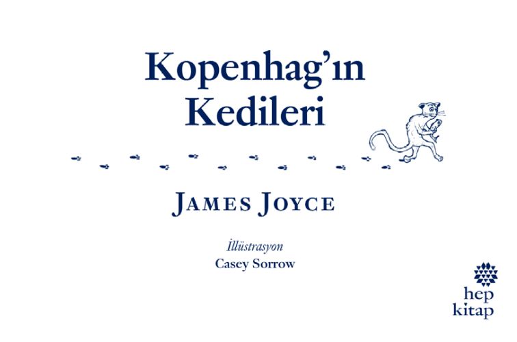 Kopenhag’ın Kedileri-zoom-