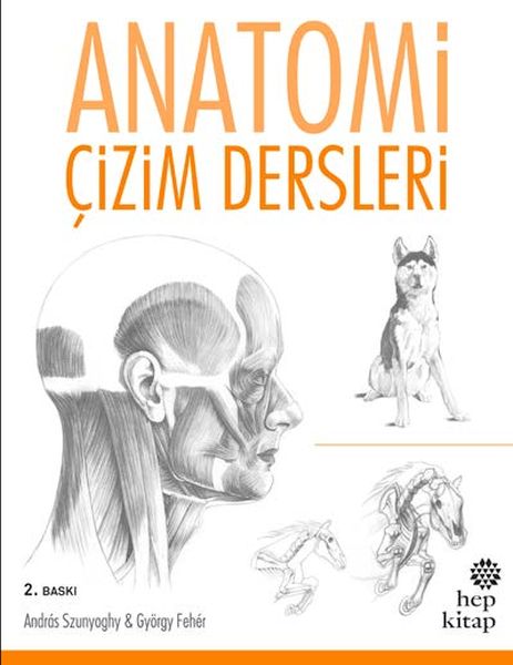 Anatomi Çizim Dersleri-zoom-