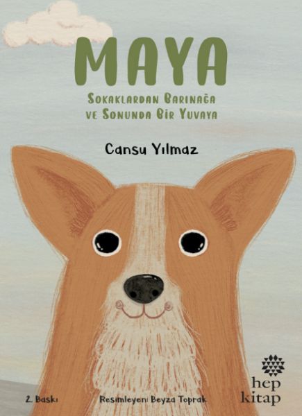 Maya - Sokaklardan Barınağa ve Sonunda Bir Yuvaya-zoom-