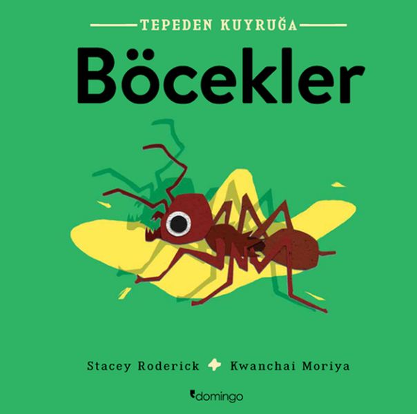 Tepeden Kuyruğa - Böcekler-zoom-