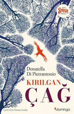 Kırılgan Çağ