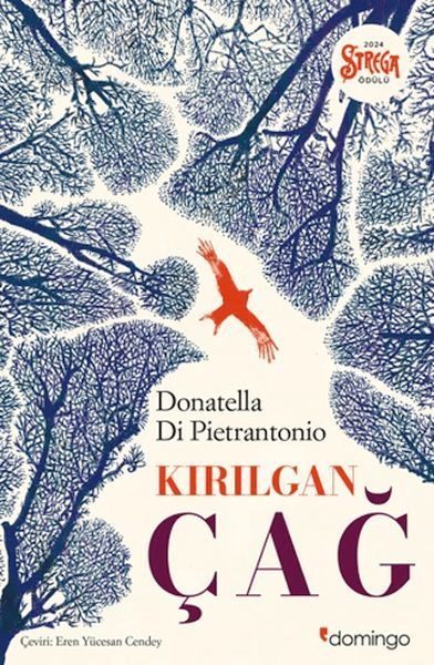 Kırılgan Çağ-zoom-
