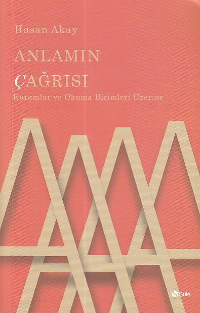 Anlamın Çağrısı-zoom-