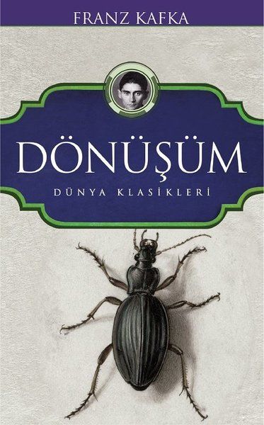 Dönüşüm-zoom-