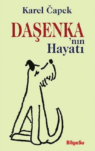 Daşenkanın Hayatı-zoom-