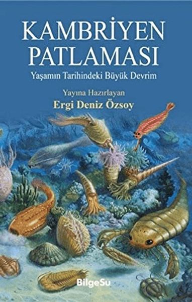 Kambriyen Patlaması-zoom-