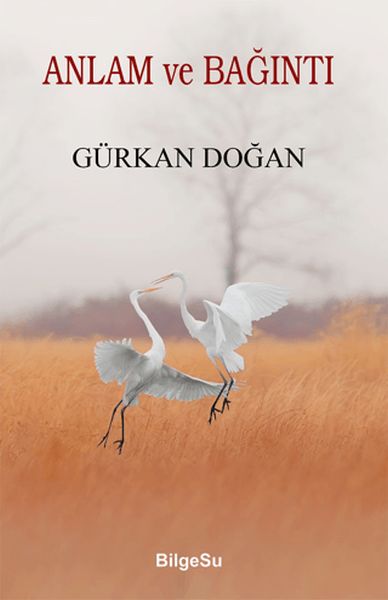 Anlam ve Bağıntı-zoom-
