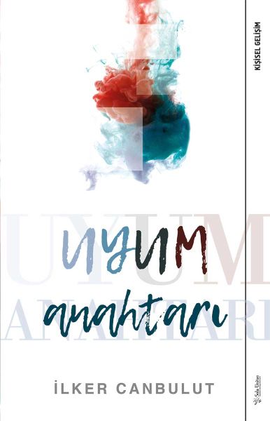 Uyum Anahtarı-zoom-
