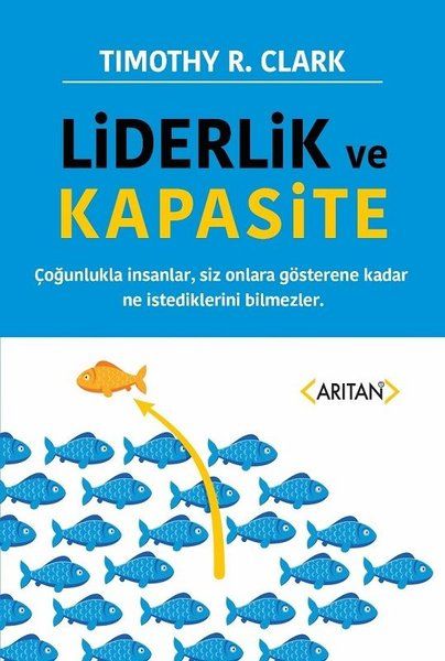 Liderlik ve Kapasite-zoom-