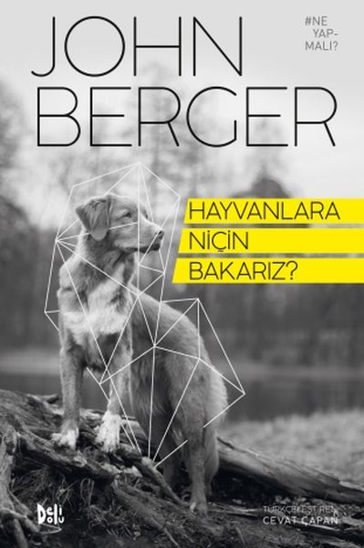 Hayvanlara Niçin Bakarız?-zoom-
