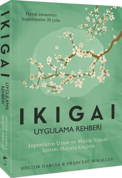 Ikigai Uygulama Rehberi-zoom-