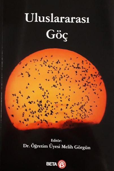 Uluslararası Göç-zoom-