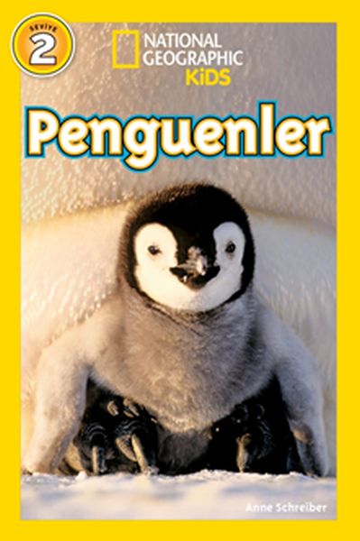 Penguenler-zoom-