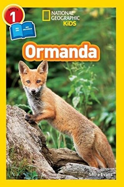 Ormanda - Seviye 1-zoom-