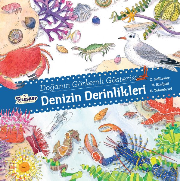 Denizin Derinlikleri - Doğanın Görkemli Gösterisi-zoom-