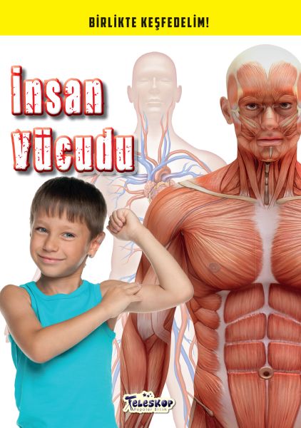 İnsan Vücudu - Birlikte Keşfedelim-zoom-