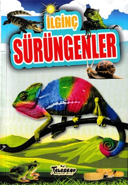 İlginç Sürüngenler - İlginç Bilgiler Serisi-zoom-