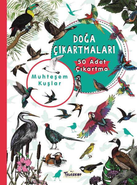 Muhteşem Kuşlar - Doğa Çıkartmaları-zoom-