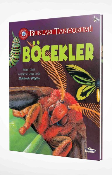 Bunları Tanıyorum! - Böcekler-zoom-