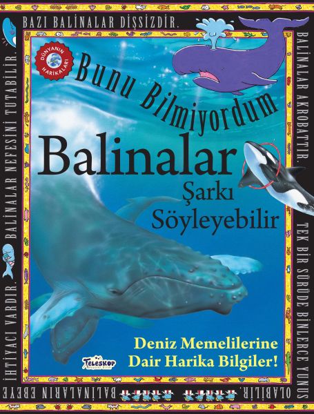 Balinalar Şarkı Söyleyebilir - Bunu Bilmiyordum - Deniz Memelilerine Dair Harika Bilgiler!-zoom-