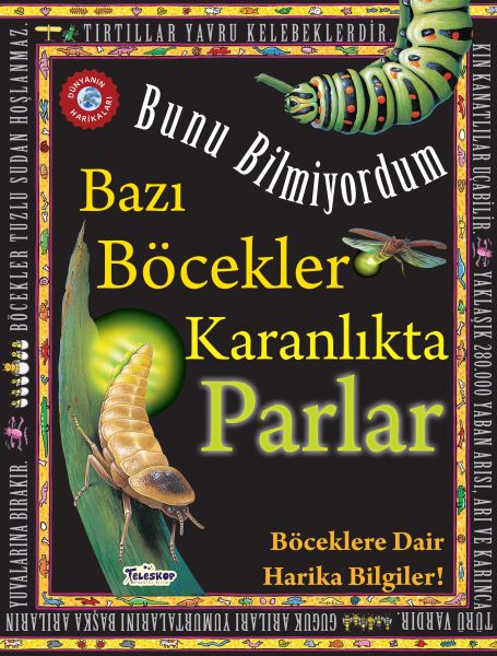 Bazı Böcekler Karanlıkta Parlar - Bunu Bilmiyordum - Böceklere Dair Harika Bilgiler!-zoom-