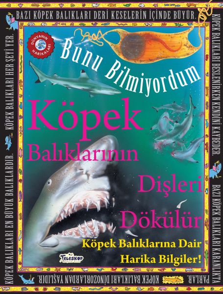 Köpek Balıklarının Dişleri Dökülür - Bunu Bilmiyordum - Köpek Balıklarına Dair Harika Bilgiler!-zoom-